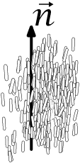  nemdirector.1 