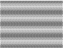  ubhtransients.0 
